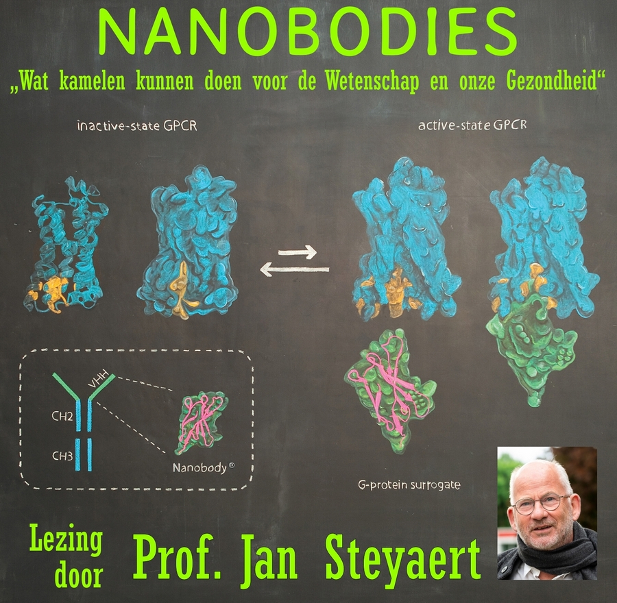 Nanobodies